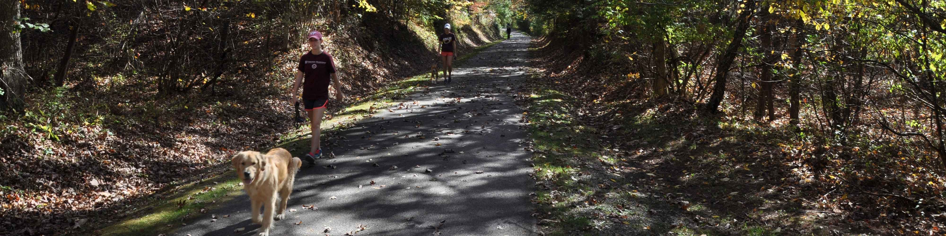 Huckleberry Trail