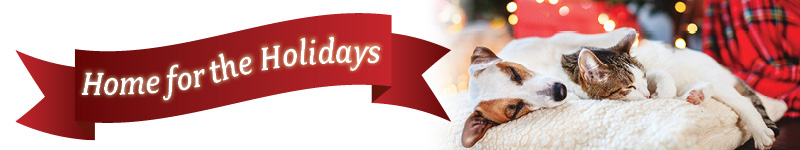 Home for the Holidays